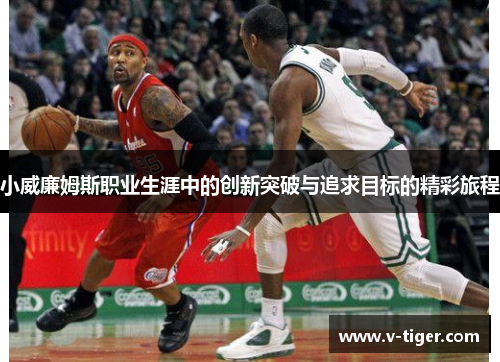 小威廉姆斯职业生涯中的创新突破与追求目标的精彩旅程