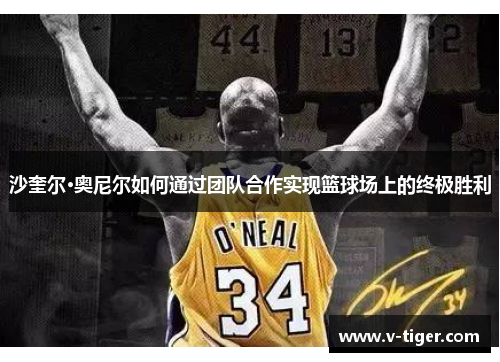 沙奎尔·奥尼尔如何通过团队合作实现篮球场上的终极胜利