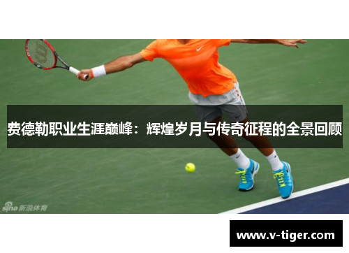 费德勒职业生涯巅峰：辉煌岁月与传奇征程的全景回顾