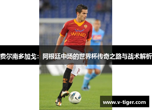 费尔南多加戈：阿根廷中场的世界杯传奇之路与战术解析