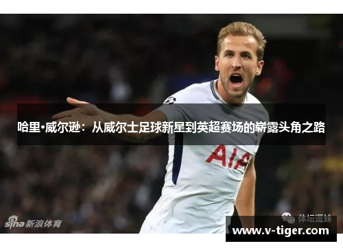 哈里·威尔逊：从威尔士足球新星到英超赛场的崭露头角之路