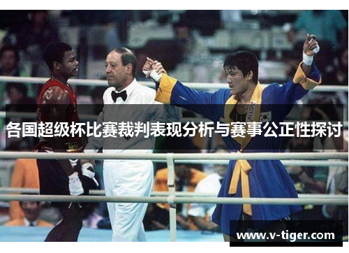 各国超级杯比赛裁判表现分析与赛事公正性探讨