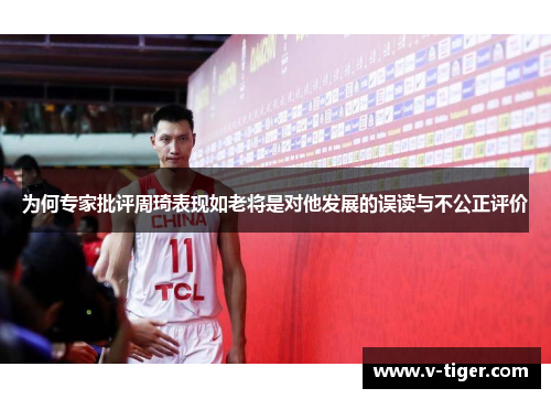 为何专家批评周琦表现如老将是对他发展的误读与不公正评价
