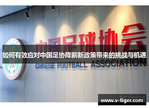 如何有效应对中国足协降薪新政策带来的挑战与机遇