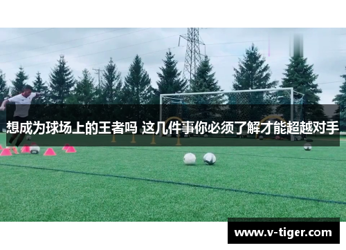 想成为球场上的王者吗 这几件事你必须了解才能超越对手