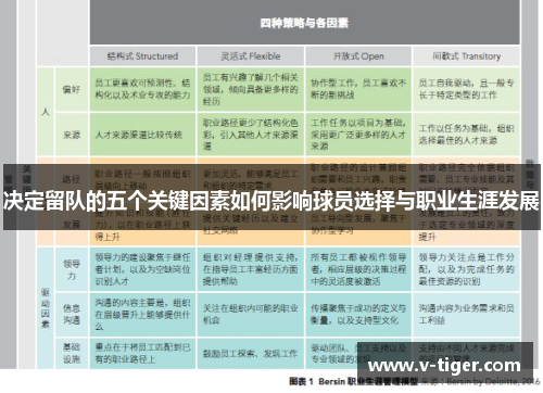 决定留队的五个关键因素如何影响球员选择与职业生涯发展