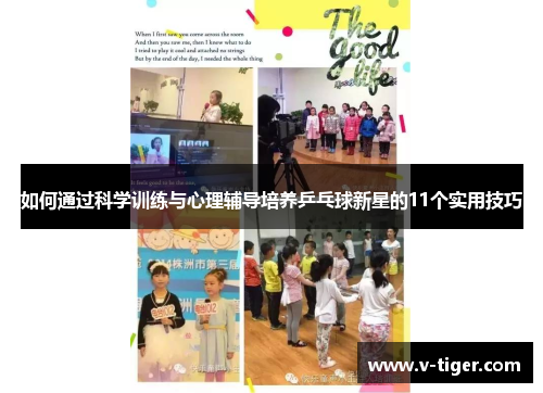 如何通过科学训练与心理辅导培养乒乓球新星的11个实用技巧